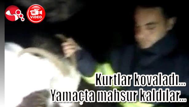 Kurtlar kovaladı... Yamaçta mahsur kaldılar...