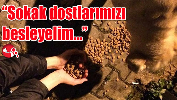"Sokak dostlarımızı besleyelim..."