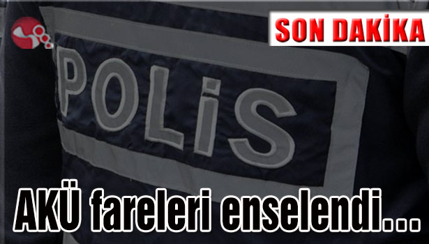 AKÜ fareleri enselendi...