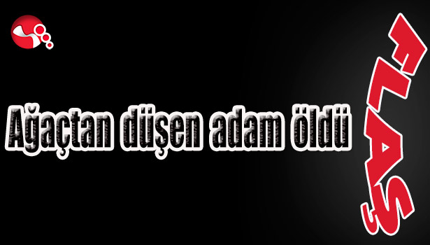 Ağaçtan düşen adam öldü...