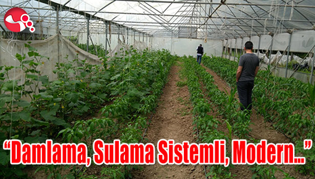 "Damlama, Sulama Sistemli, Modern..."