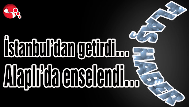 İstanbul'dan getirdi... Alaplı'da enselendi...