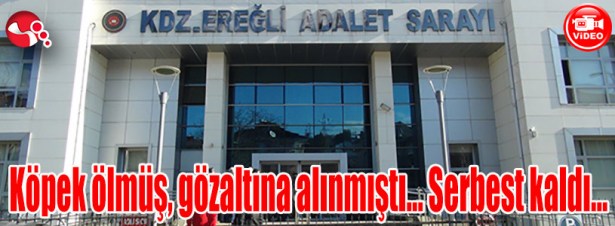 Köpek ölmüş, gözaltına alınmıştı... Serbest kaldı...