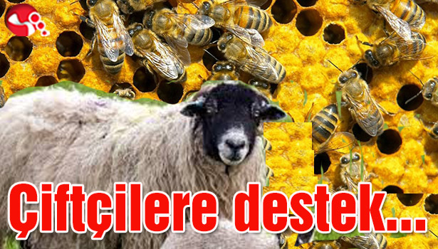 Çiftçilere destek...