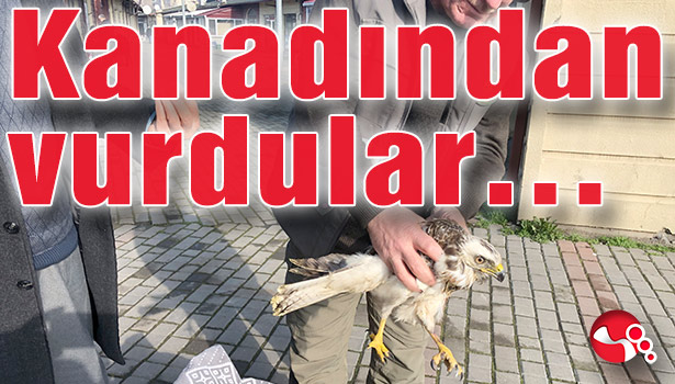 Kanadından vurdular...