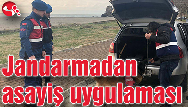 Jandarmadan asayiş uygulaması