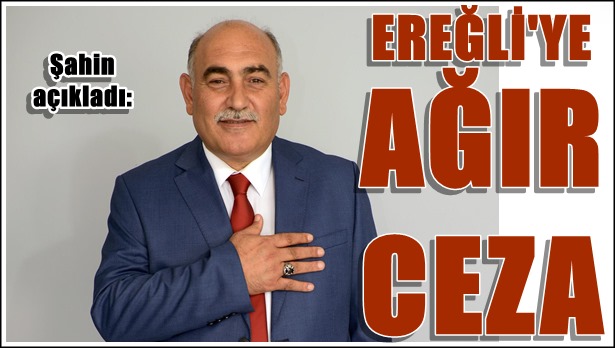 Şahin'den 'Ağır Ceza' müjdesi