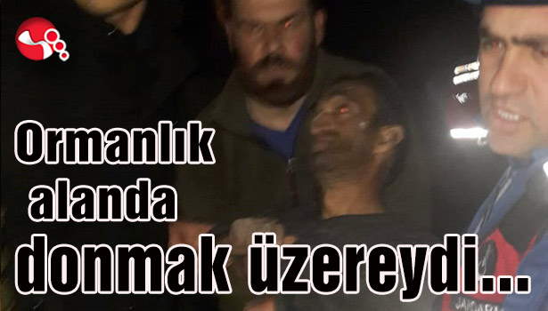 Ormanlık alanda donmak üzereydi...