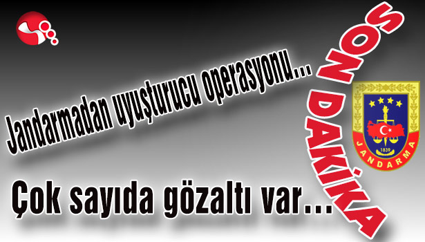 Jandarmadan uyuşturucu operasyonu... Çok sayıda gözaltı var...