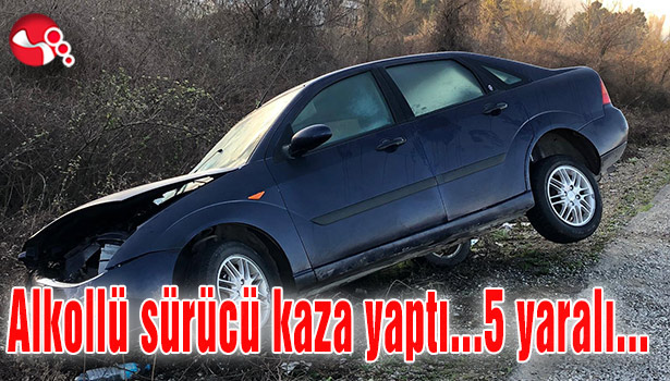 Alkollü sürücü kaza yaptı...