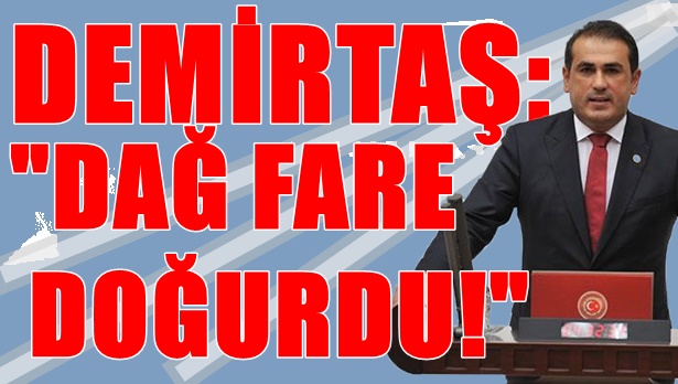 Demirtaş: "Dağ fare doğurdu!"