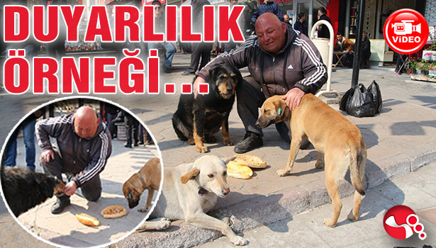 DUYARLILIK ÖRNEĞİ...