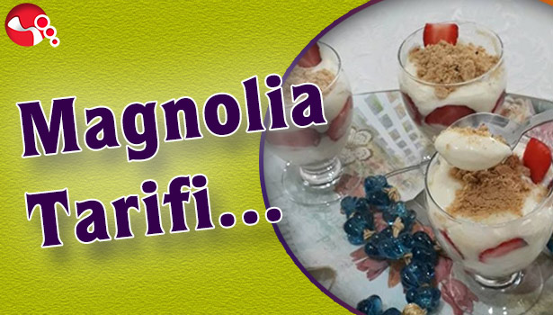 Magnolia Tarifi