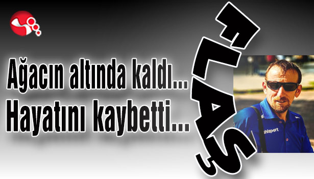 Ağacın altında kaldı... Hayatını kaybetti...