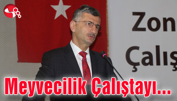 Meyvecilik Çalıştayı düzenlendi...