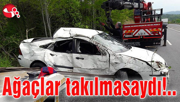 Ağaçlar takılmasaydı!..