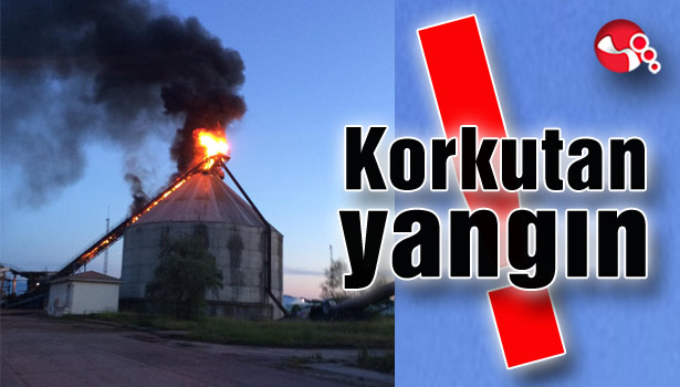 Korkutan yangın...