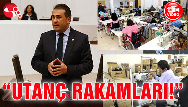 CHP Milletvekili Demirtaş, TBMM'de "Engelli İstihdamı"nı anlattı...