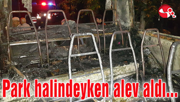 Park halindeyken alev aldı...