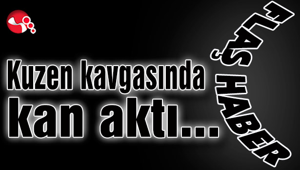 Kuzen kavgasında kan aktı...