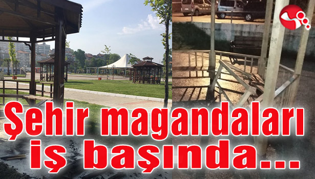 Alaplı'da şehir magandaları iş başında...