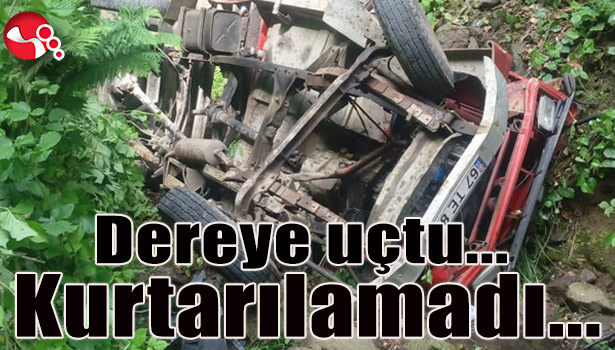 Dereye uçtu...Kurtarılamadı...