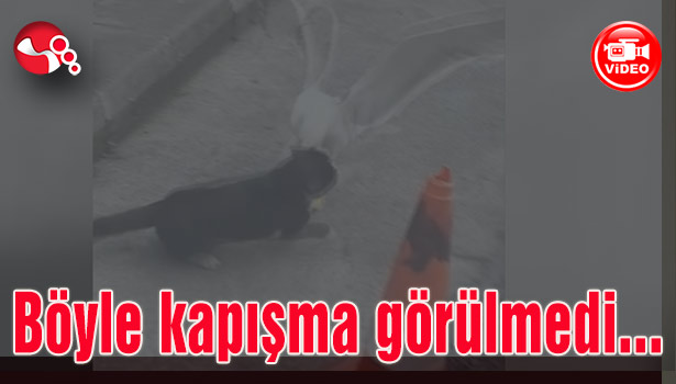 Böyle kapışma görülmedi...