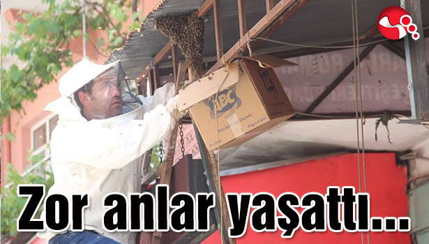 Esnafa zor anlar yaşattı...