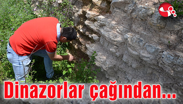 Dinazorlar çağından kalma fosiller...