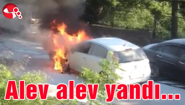Alev alev yandı...
