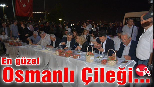 En güzel Osmanlı Çileği için yarıştılar..