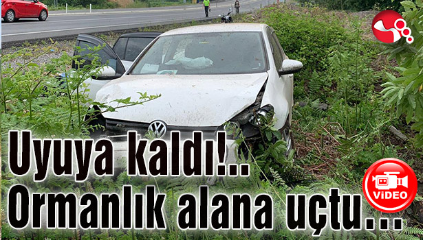 Uyuya kaldı!.. Ormanlık alana uçtu...