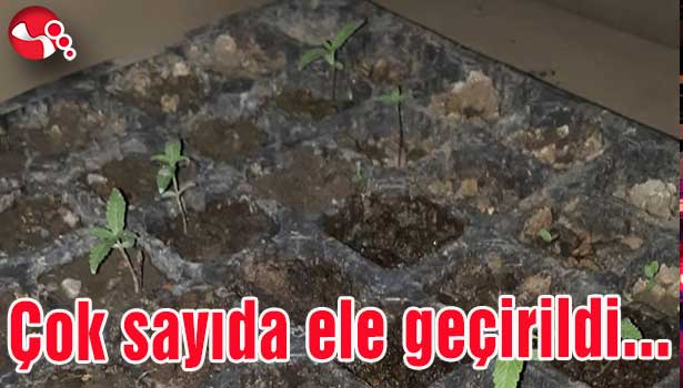 Çok sayıda ele geçirildi...