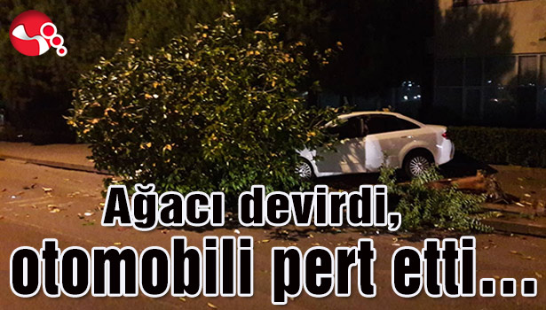 Ağacı devirdi, otomobili pert etti...