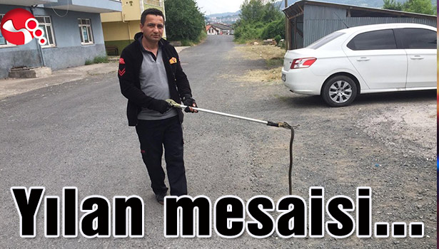Yılan mesaisi yaptılar...