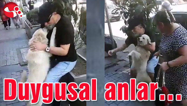 Köpeğin duygusal anları...