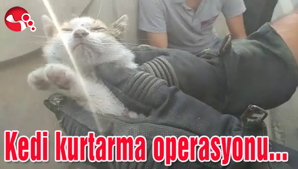 Kedi kurtarma operasyonu...