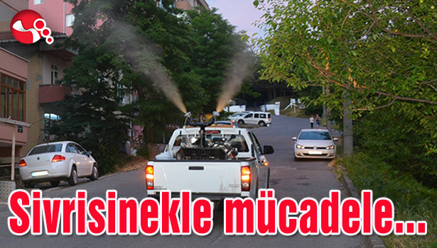 Sivrisinekle Mücadele...