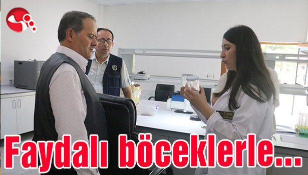Faydalı böceklerle...