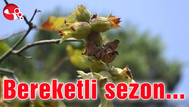 Bereketli sezon...