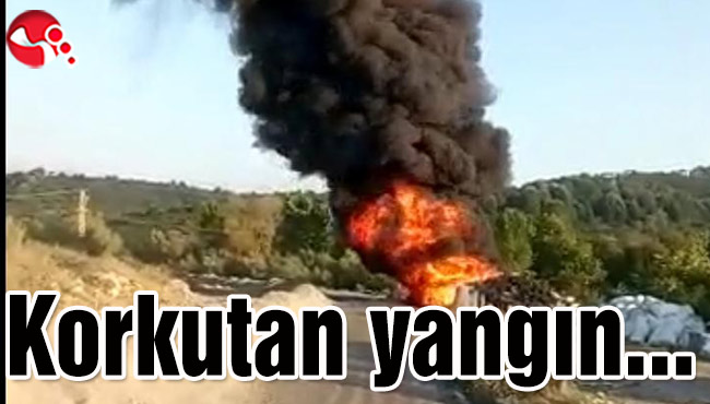 Korkutan yangın...