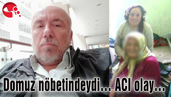 Domuz nöbetindeydi… ACI olay…