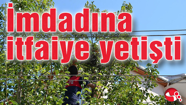 İmdadına itfaiye yetişti