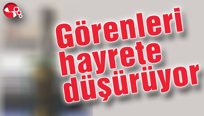 Görenleri hayrete düşürüyor
