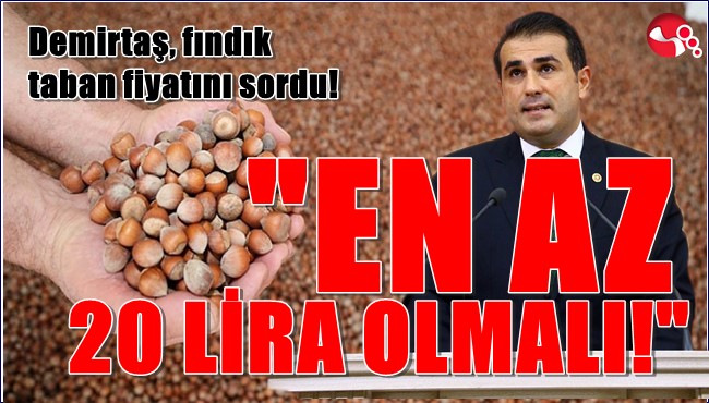 Demirtaş, üreticilerin dört gözle beklediği fındık taban fiyatını sordu!