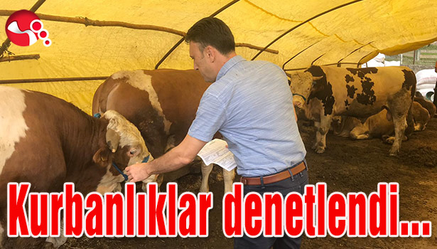 Kurbanlıklar denetlendi...