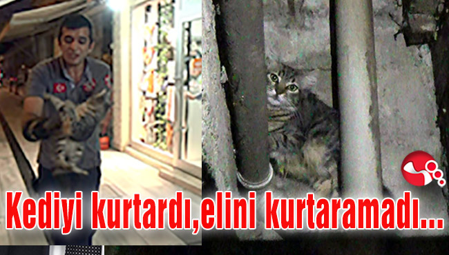 Kediyi kurtardı elini kurtaramadı...