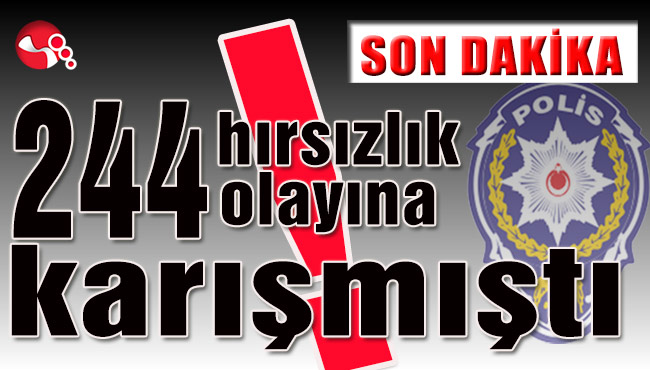 244 hırsızlık olayına karışmıştı