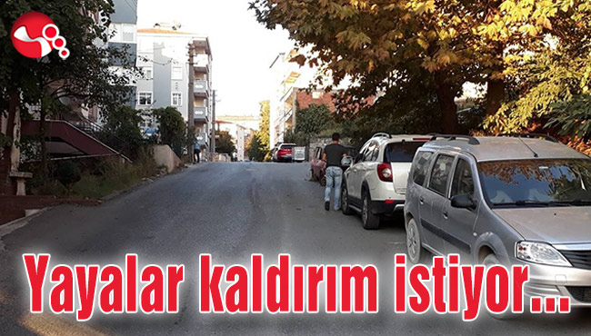 Yayalar kaldırım istiyor...