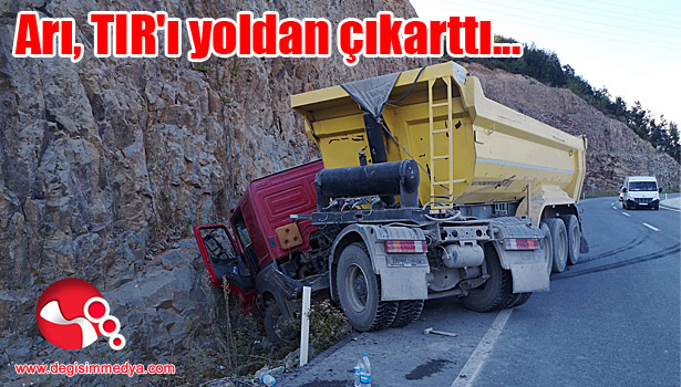 Arı TIR'ı yoldan çıkarttı...